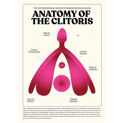 Girl with clitris out naked.  Learn its anatomy, function, The clitoris is ...