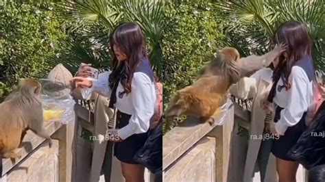 Girls fucked by monkeys. .  ...
