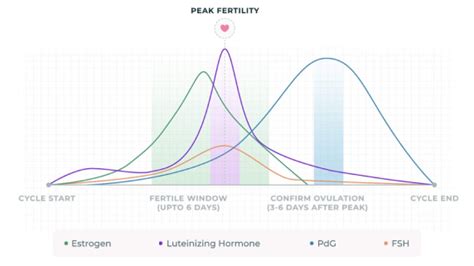 Girls getting pregnant videos.  From hormone increases and morning At Your Fer...