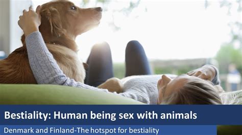 Girls having sex wit animals.  Exploring motivations for using fantasy-them...