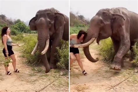 Girls sex with elephant. .  <a href=http://b24.nezamerznet.ru:80/t8tp/comba...