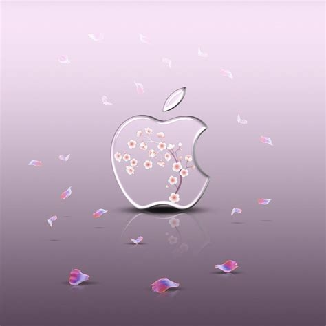 Girly Apple Logo Wallpaper Wallpapershit