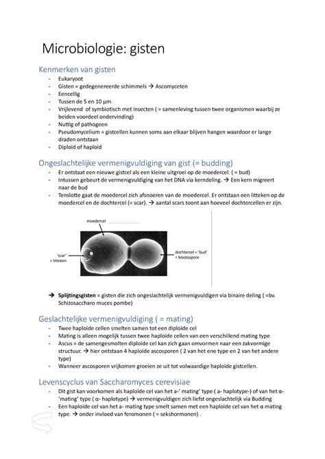 Gisten - Microbiologie