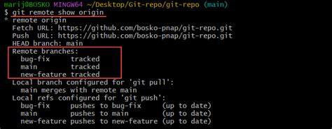 Git show current url