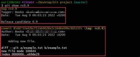 Git show tag information