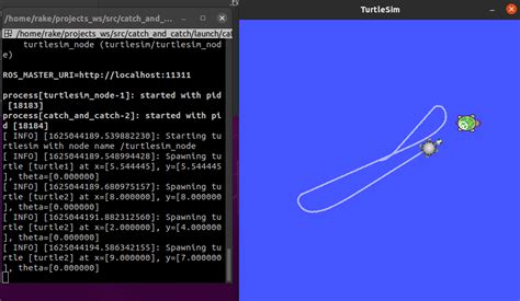 GitHub - Rakee003/Turtlesim_Catch-and-catch: This is a fun ...