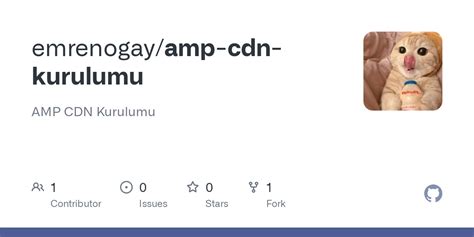 GitHub - emrenogay/amp-cdn-kurulumu: AMP CDN Kurulumu