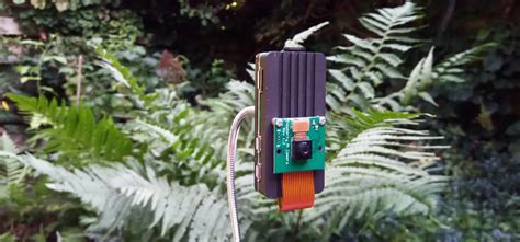 GitHub Qengineering/YoloCam: Raspberry Pi stand-alone AI.