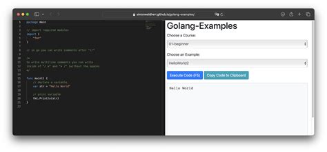 GitHub SimonWaldherr/golangexamples Go(lang) examples (explain