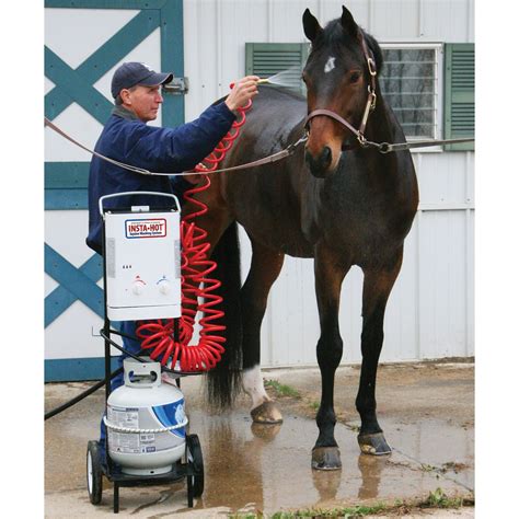 Give Your Horse A Hott Wash - EquiSearch