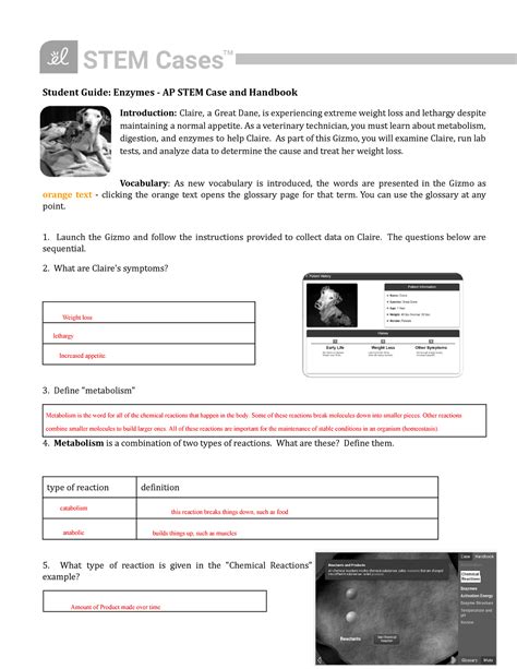 Gizmo enzymes stem case answers