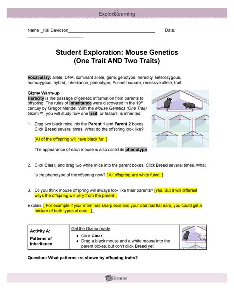 Gizmo mouse genetics answer key. With the Mouse Genetics (One Trait) Gizmo™, you will study how one trait, or feature, is inherited. Drag two black mice into the Parent 1 and Parent 2 boxes. ... Write the results of each experiment in your notes. When you have finished, answer the following questions. (Note: You can refer to the parents as "pure black," "pure white ... 