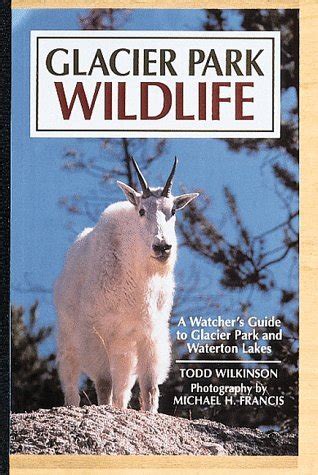 Read Glacier Park Wildlife A Watchers Guide Includes Listings For Waterton Lakes National Park By Todd Wilkinson
