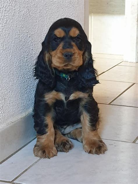 Profile picture of Gladyce Considine