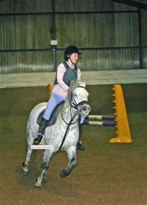 Glasgow Riding Schools and Stables - Glasgow Online