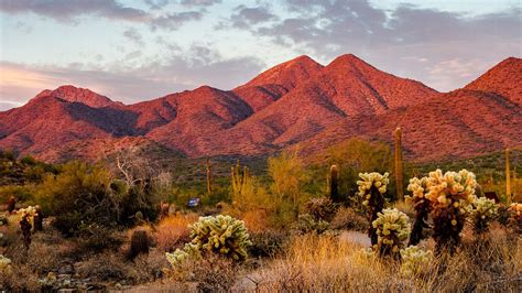 Glendale vs. Scottsdale - Phoenix Forum - Tripadvisor