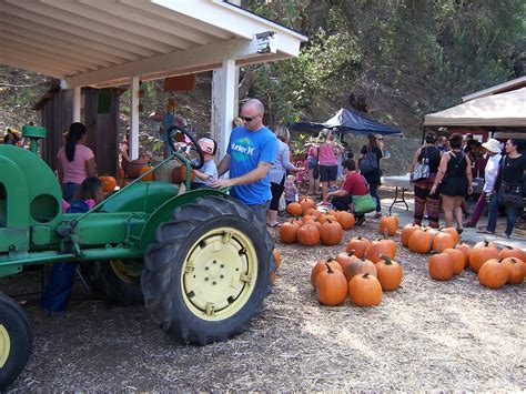 The mix of food, fun, and entertainment was a welcome relief for many as the COVID-19 pandemic interrupted many social events, including canceling the Pumpkin Fest last year. People are also .... 