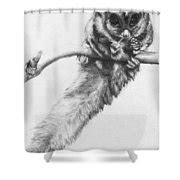 Glider Shower Curtains Fine Art America