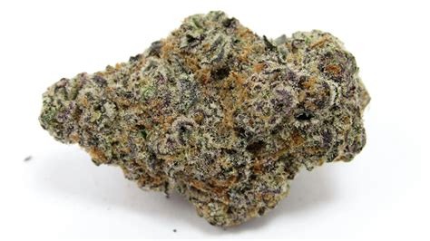 Glitter bomb leafly. Paranoid. Anxiety. Pain. THC Bomb is a potent hybrid marijuana strain. This strain produces energizing and happy effects. THC Bomb tastes like citrus with woody undertones. Growers say this strain ... 