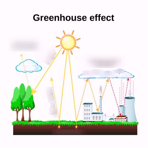 Global Climate Change The Greenhouse Effect Diagram Diagram Quizlet
