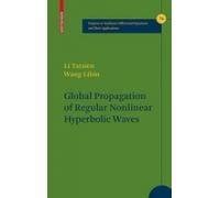 Global Propagation Of Regular Nonlinear Hyperbolic Waves 1st Edition