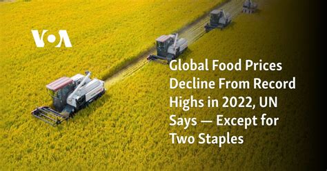 Global food prices declined from record highs in 2022, the UN says. Except for these two staples