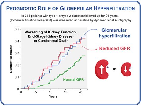 Glomerular Hyperfiltration Predicts Kidney Function Decline and ...