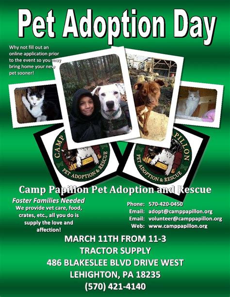 Gloversville Tractor Supply Co. hosting pet adoption event