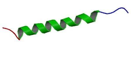 Glucagon - Structure - Function - TeachMePhysiology