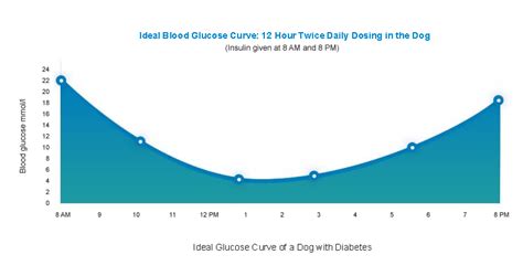 Glucose Curve in Dogs - PetPlace