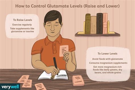 Glutamate Function and healthy levels