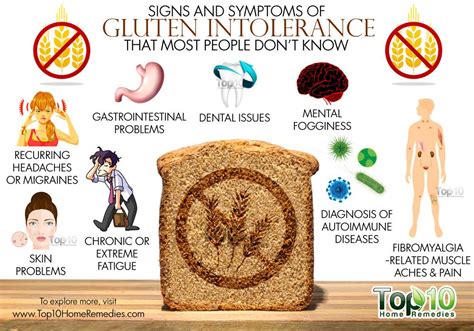 Gluten intolerance definition of Gluten intolerance by …