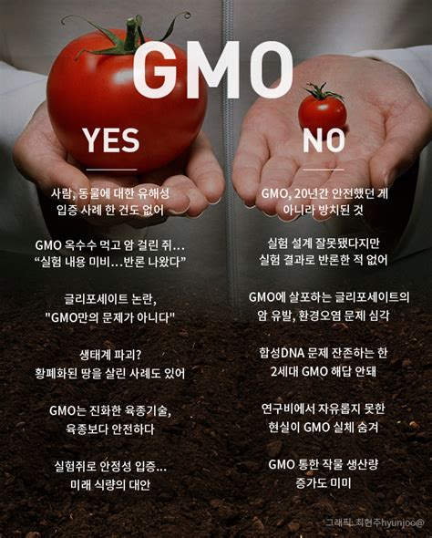 Gmo 위험성 Means
