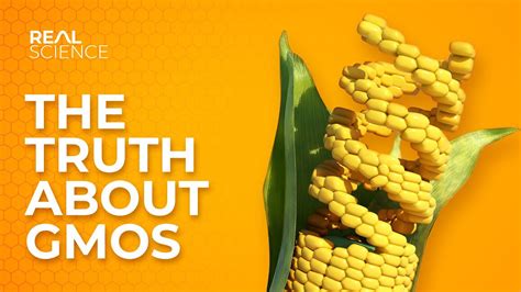 Gmos Explicit Leaked (SEX) 🍑