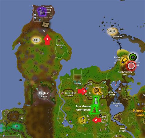5969,6094,6095,6096. Gnomes are a race of small humanoids found in various parts of Gielinor. They can be found primarily in the Kandarin region, being most common in the Tree Gnome Village, Tree Gnome Stronghold, and Battlefield of Khazard. Gnomes fight with primarily either ranged or melee attacks, depending on the weapon they wield. . 