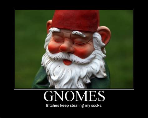 Gnome quotes funny. Things To Know About Gnome quotes funny. 