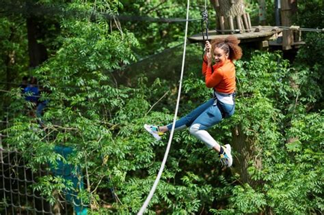 Go Ape 15 Off Promo Code - April 2024 HotDeals.com