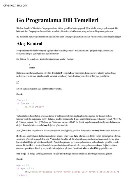 Go Lang Programlama Dili Örnekleri. 