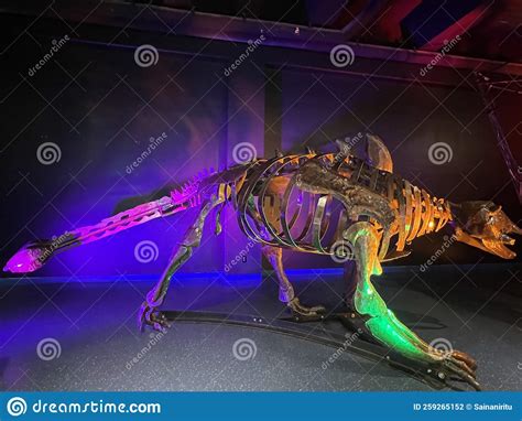 Go back in time during Exhibition: Dinosaur at the Museum of Discovery and Science in Fort Lauderdale