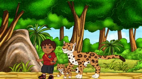 Where is Okapi's Brother? is the 3rd episode of Go, Diego, Go! from Season 4. In production order, it's the 2nd episode of Season 4. Diego Alicia Baby Jaguar Okapi (debut) Okapi's brother (debut) Diego's mother (mentioned) Rescue Pack (non-speaking) Diego, Alicia, and Baby Jaguar travel to the African rainforest to visit the okapis. During a game of hide-and-seek, Okapi's brother hides too ...