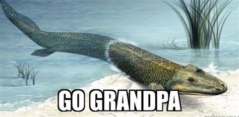 Go go grandpa. Things To Know About Go go grandpa. 