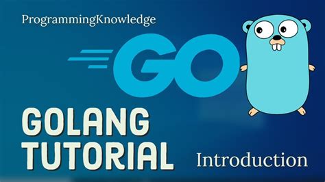Go programing language tutorial. An introduction to the go programming language for beginners. In this golang tutorial you will learn the basics of go, setup a go lang coding environment and... 
