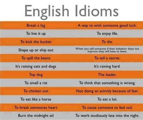 Go through with - Idioms by The Free Dictionary