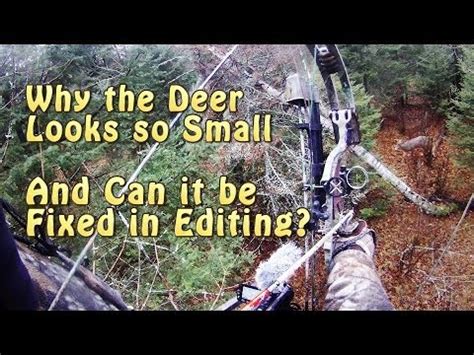 GoPro - Is It Bad for Deer Hunting? - YouTube