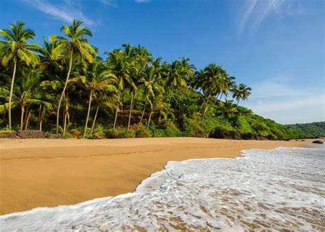 Goa in india. Things To Know About Goa in india. 