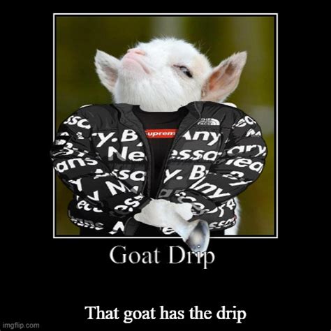 Goat 드립 bhfuab