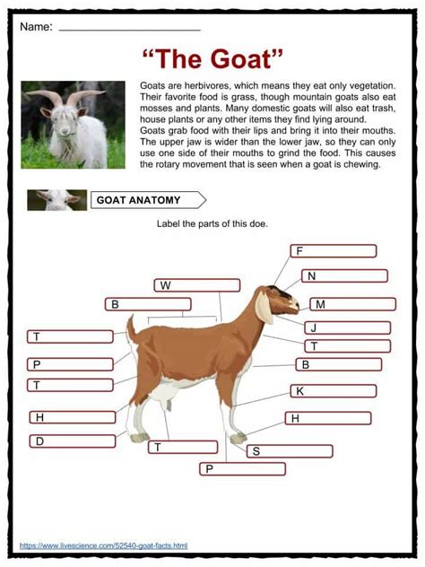 Goat Worksheet 1 PDF PDF