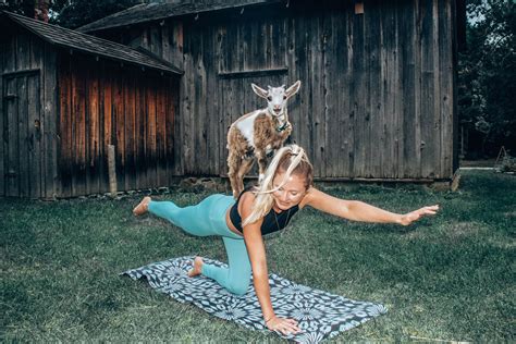 Goat Yoga Near West Palm Beach Fl Kayaworkout.co