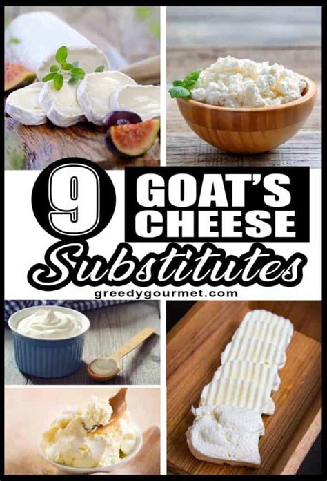 Goat cheese equivalent. Nov 4, 2021 ... Cracked white pepper will give your cheese an amazingly authentic flavor! Don't omit this! You can also roll your goat cheese in chopped fresh ... 