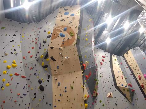 Goat climbing gym. Things To Know About Goat climbing gym. 
